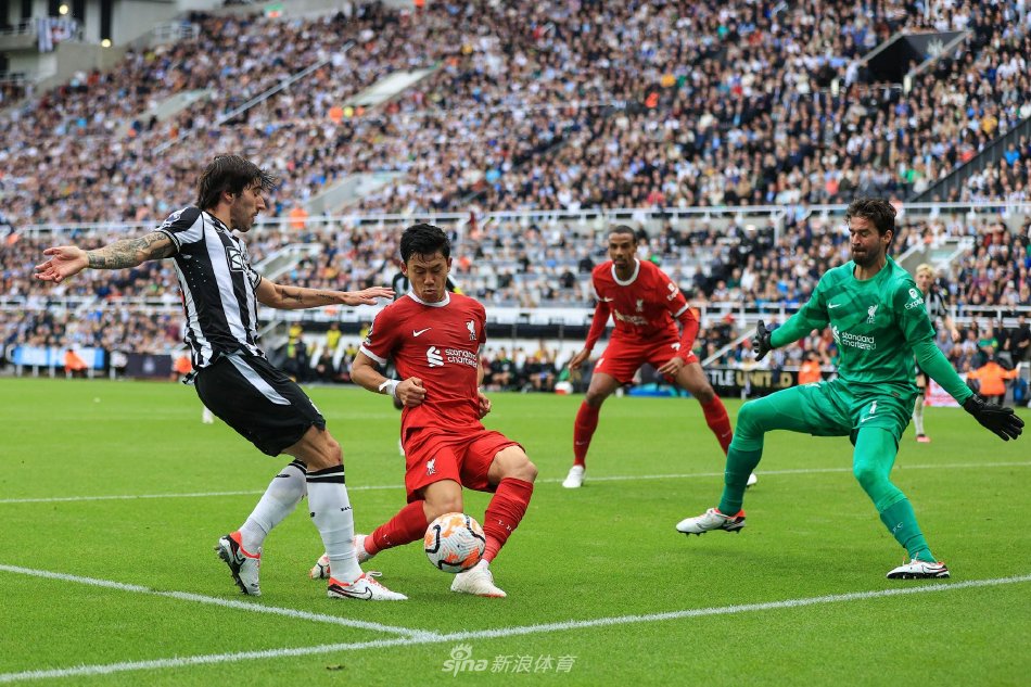 卡诺来说 卡诺来说